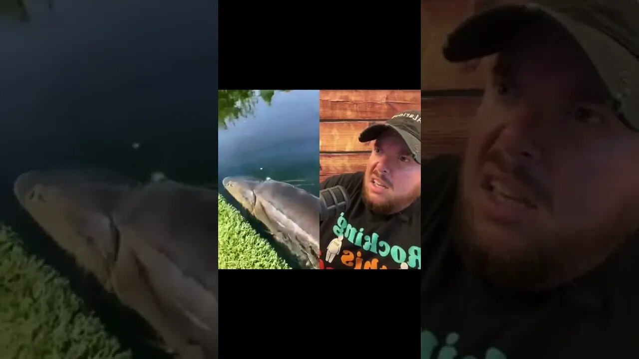 Here’s Your Dose Of REALarious…🤣🤣🤣 with @omgitswicks