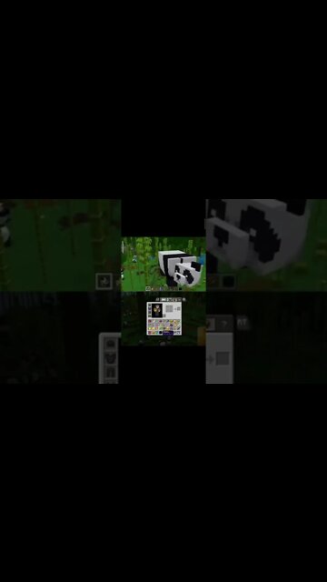 RESERVA NATURAL DE PANDAS #shorts #minecraft