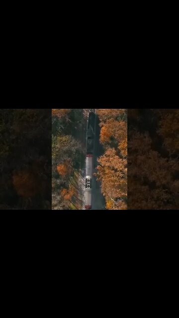 Train Sounds #Shorts 🚃