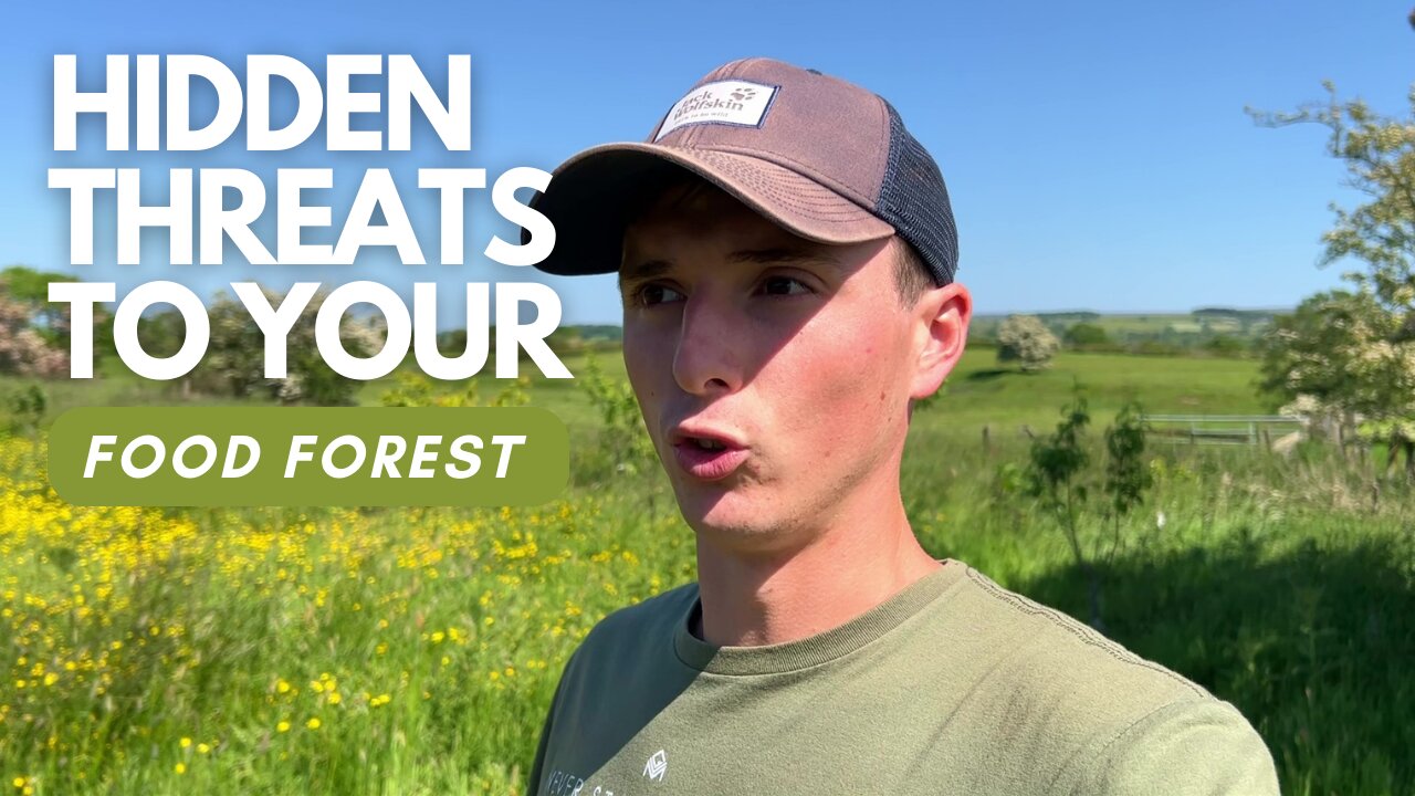 4 Hidden Threats To Your Food Garden (With Solutions)