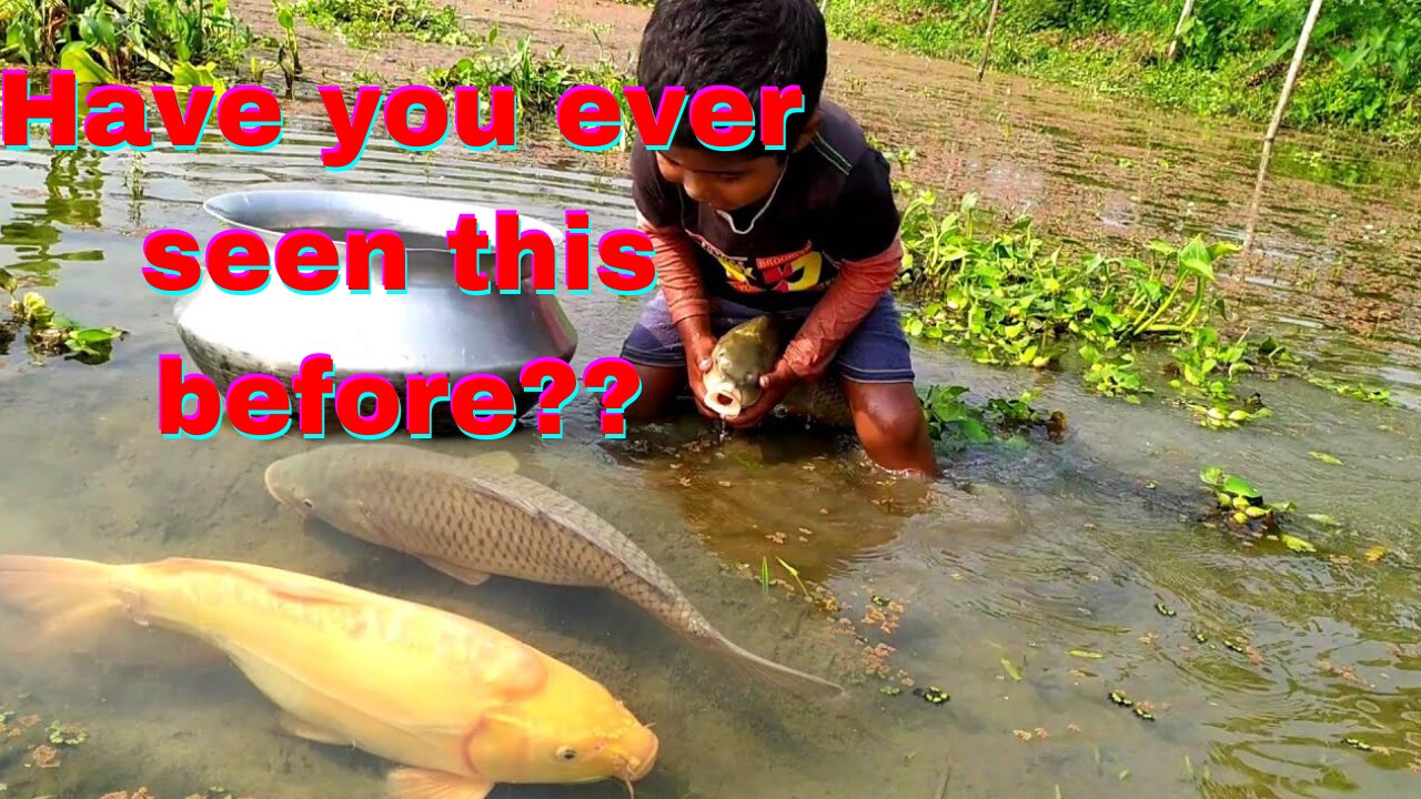 Traditional Boy Big Fishing by Hand in the pond