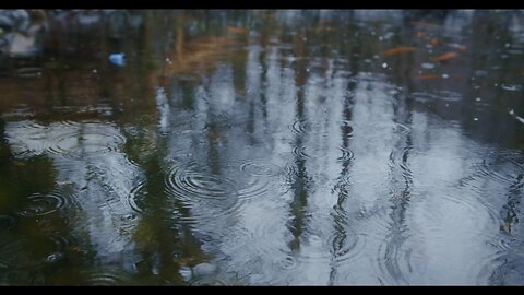 Rain Sounds Video - 15 Minutes