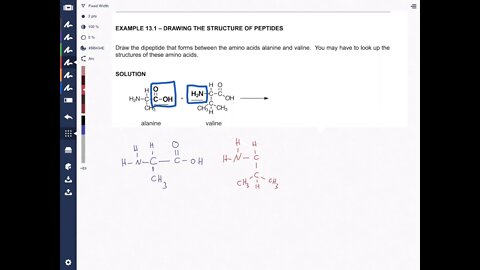 Peptide Bond Formation: Protein Chemistry Made Easy!