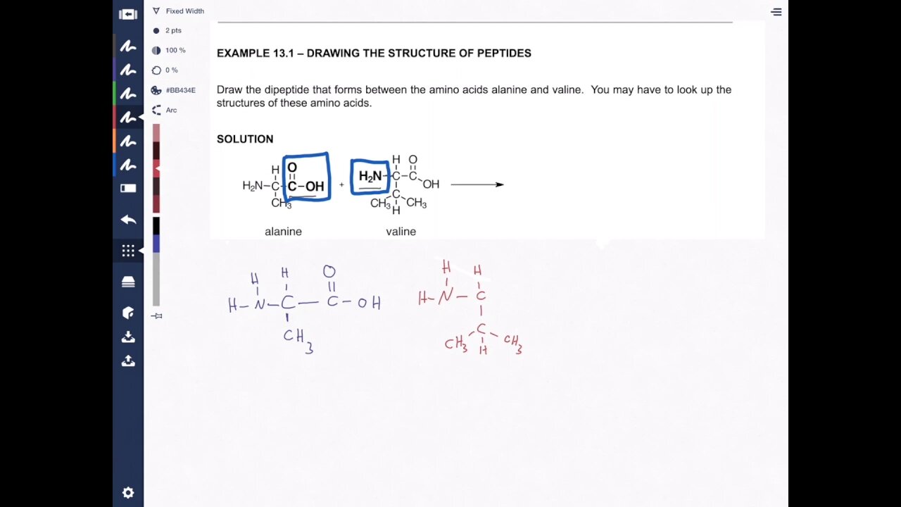 Peptide Bond Formation: Protein Chemistry Made Easy!