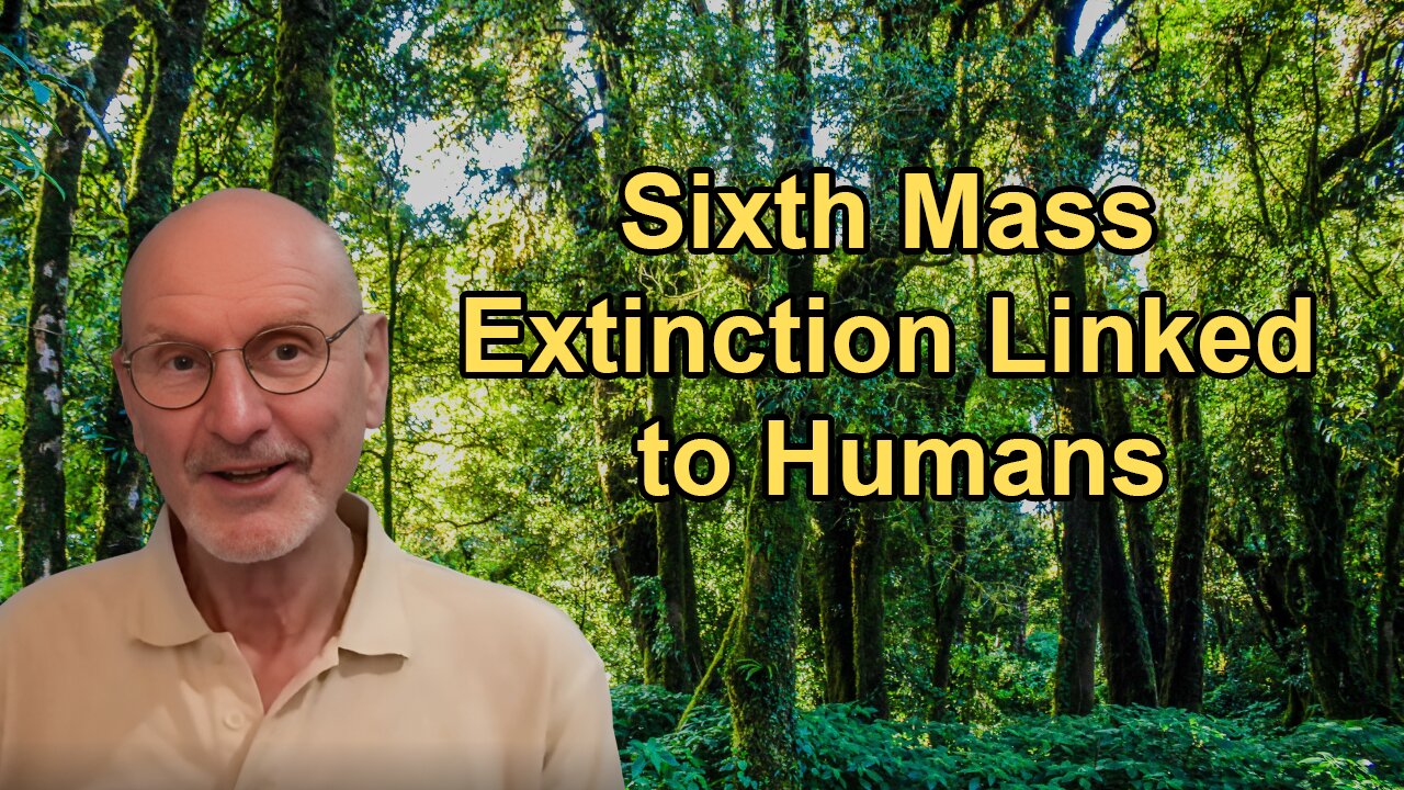 The Sixth Mass Extinction and Its Link to Human Activity and Habitat Destruction