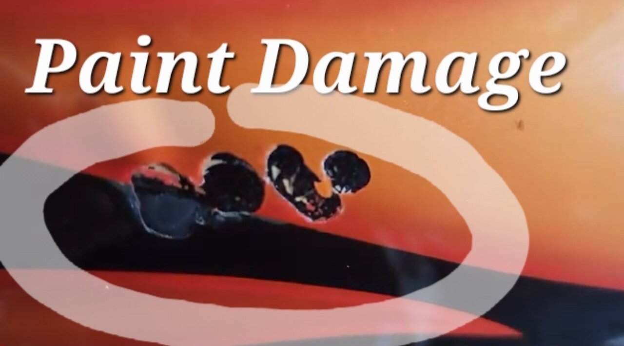 ACCESSING THE PAINT DAMAGE