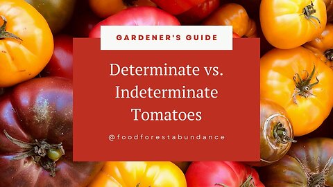 Determinate vs. Indeterminate Tomatoes