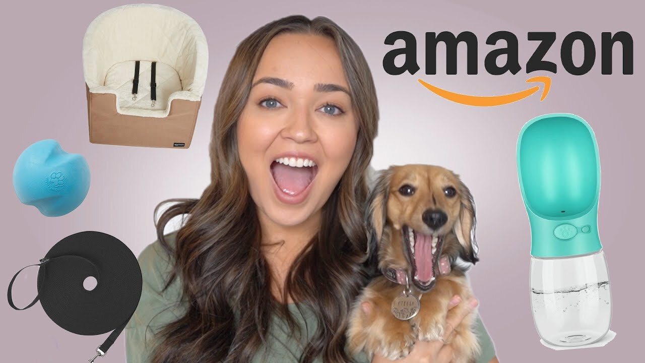 Best Products on Amazon For Dogs 2022