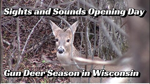 Sights and Sounds Opening Day Gun Deer Season in Wisconsin