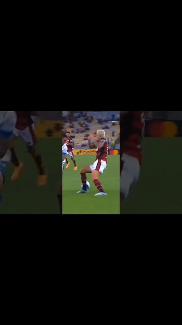 AI PEDRO, AI PEDRO!!!