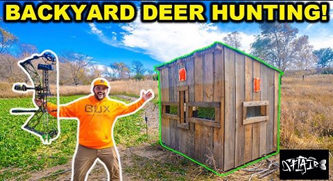 DEER HUNTING in HOMEMADE luxury deer blind. Rare bobcat footage. (Catch, Clean, Cook)