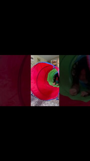 #shorts #reels #tiktok by #tinyandjuniortv at #activatestudio