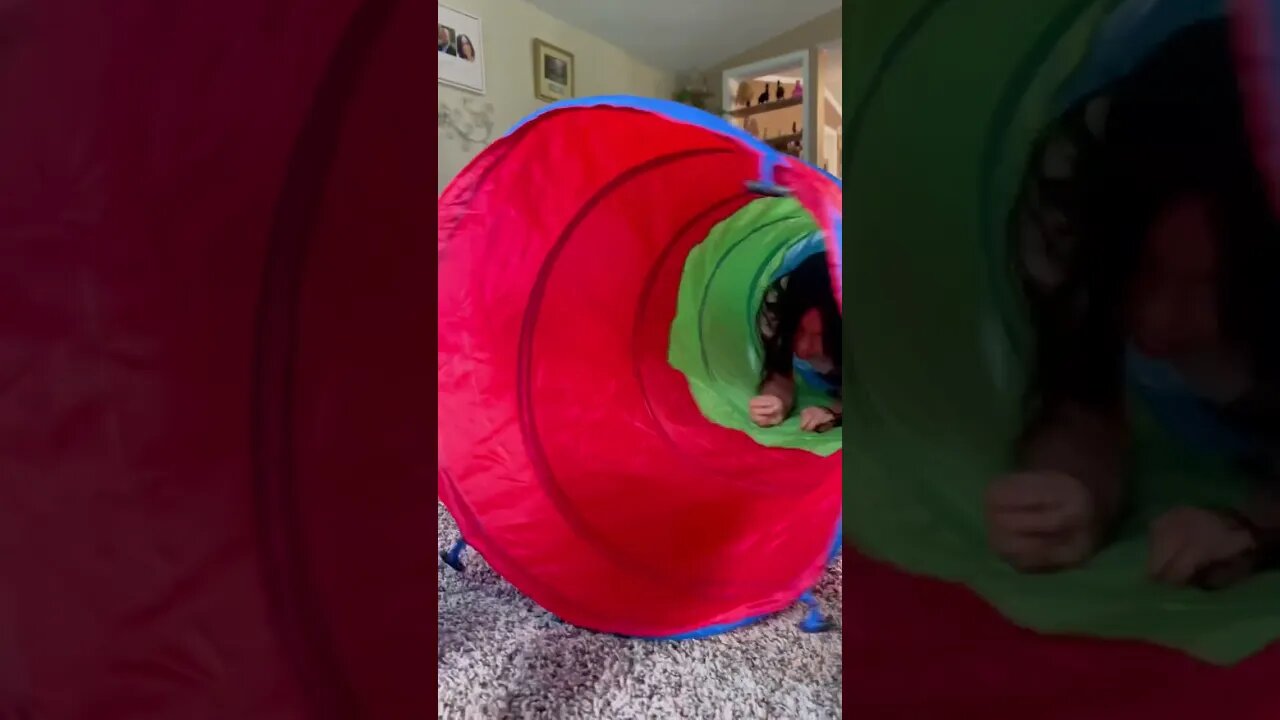 #shorts #reels #tiktok by #tinyandjuniortv at #activatestudio