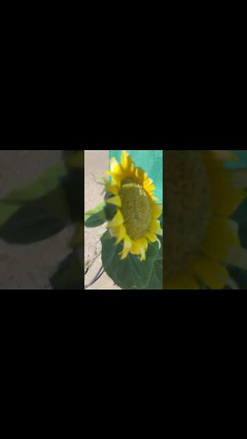 I’m going to keep on trucking and one of these days it’s going to pay off