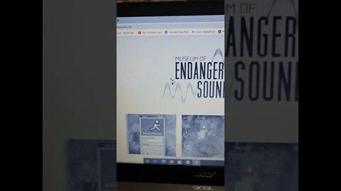Google tricks no.19 (endangered sounds) #shorts #youtubeshorts