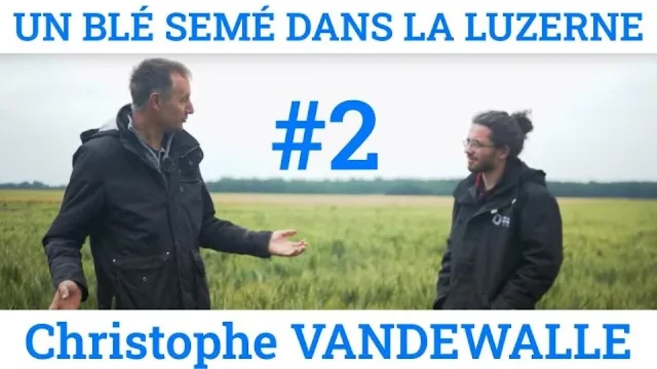 UN BLÉ SEMÉ DANS LA LUZERNE - #2 L'ENTRETIEN - Christophe VANDEWALLE