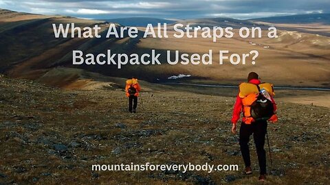 What Are All Straps on a Backpack Used For?