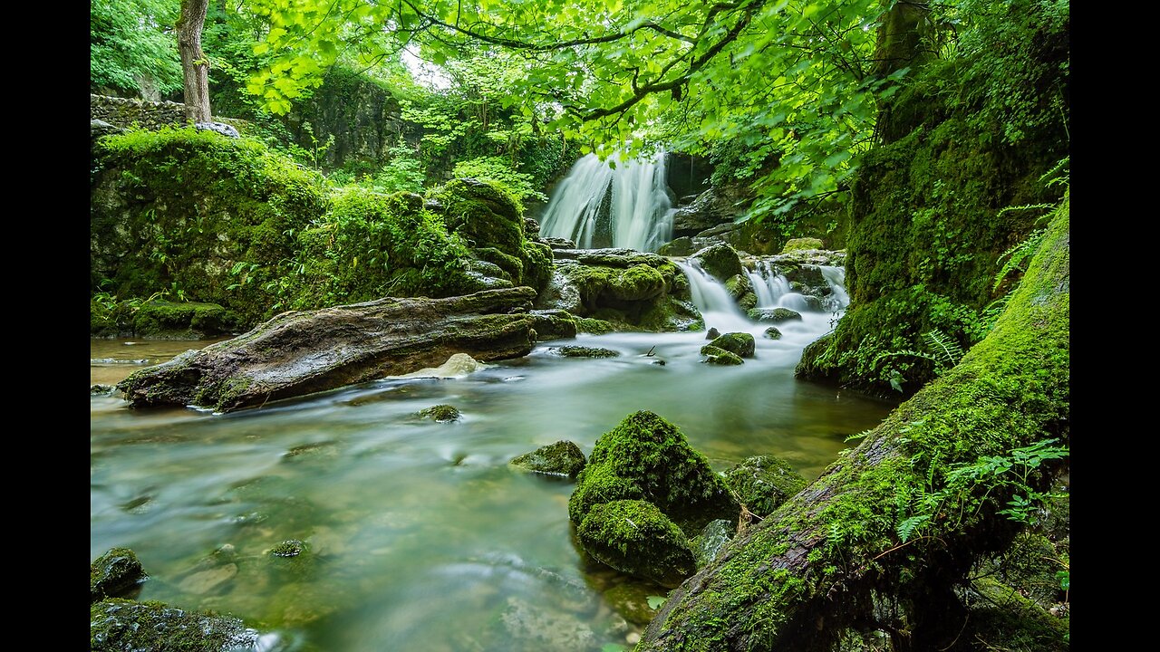 Sounds of nature, relaxing music🎵 Calm sound - guitar music - birds chirping and flowing stream