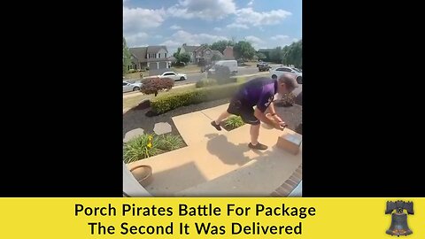 Porch Pirates Battle For Package The Second It Was Delivered