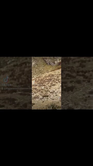 Bigfoot caught on Camera