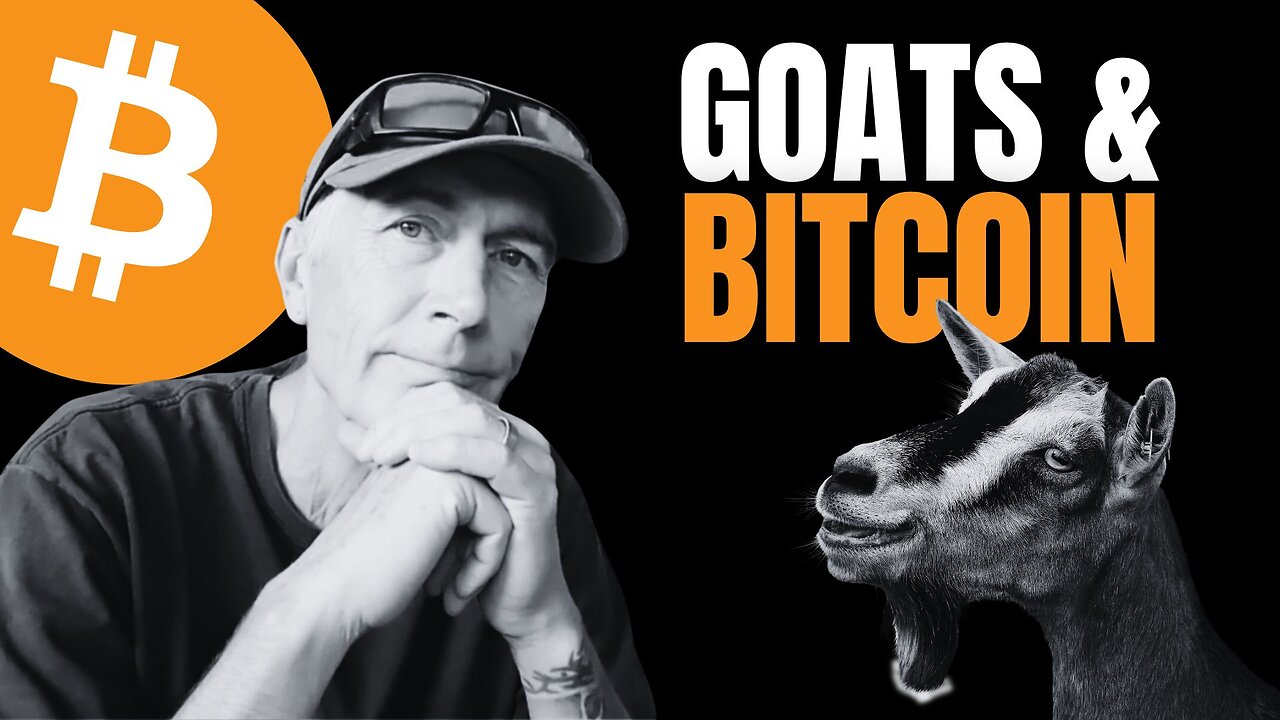 STACK SATS & ZAP GOATS..? - Sat of Lightning Goats (THE Bitcoin Podcast)