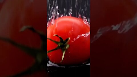 Tomato Falling into Black Water #shorts #shortsfeed