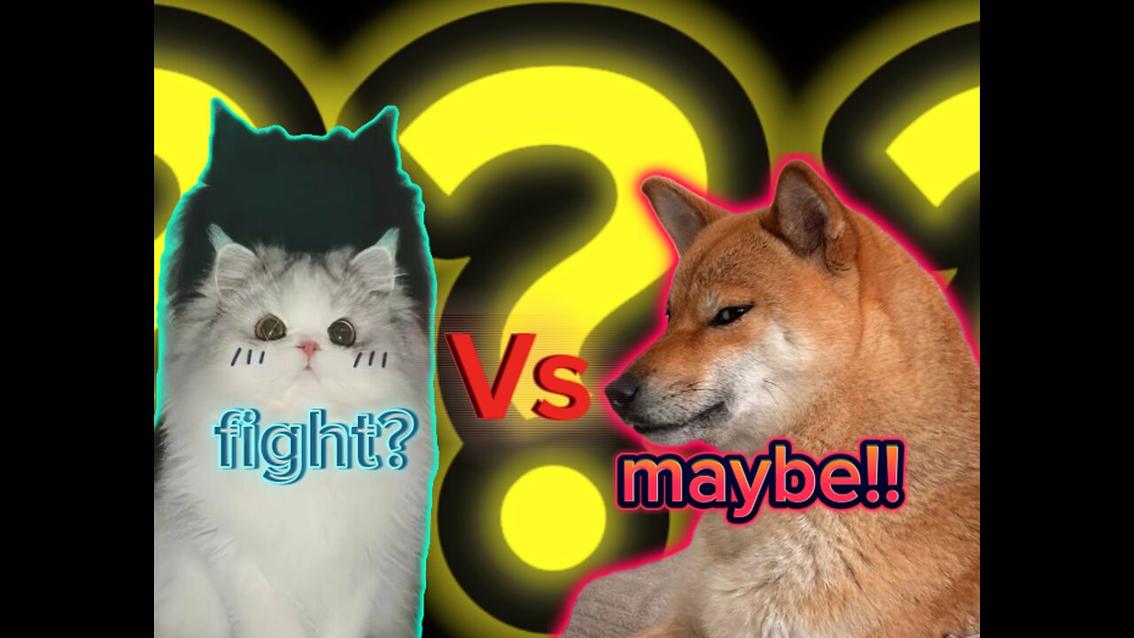 Cat Vs dog fight| who Wins !!