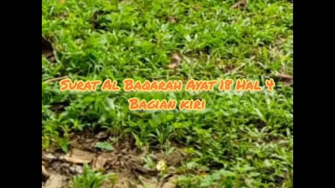 Surat Al Baqarah Ayat 18 Hal 4