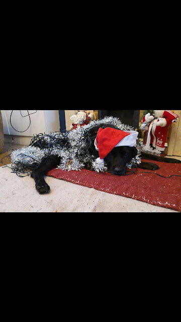 Its that time of year