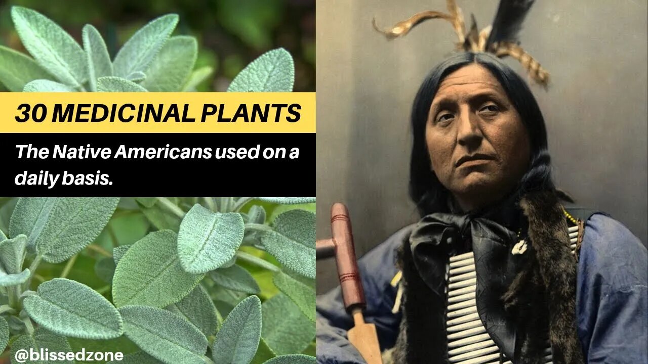 30 Medicinal Plants the Native Americans Used on a Daily Basis