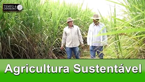Agricultura Sustentável - com Frederico Olivi