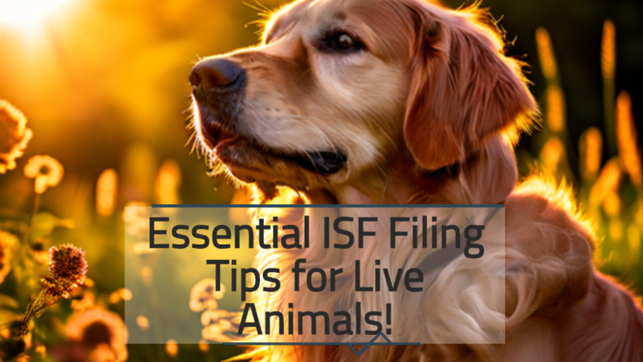 Navigating ISF for Live Animals: Essential Requirements and Guidelines