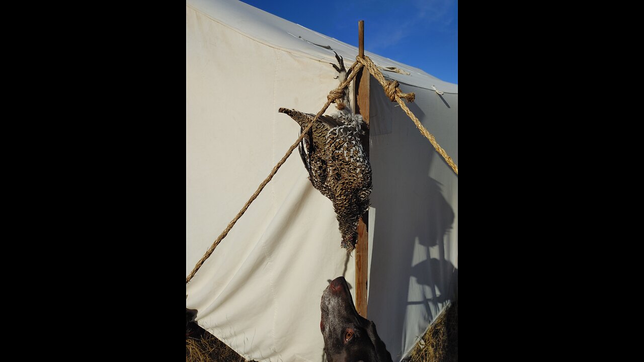 South Dakota hunt days 1-3