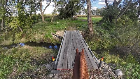 Cajun Training fur Headless Horseman Run 🐎