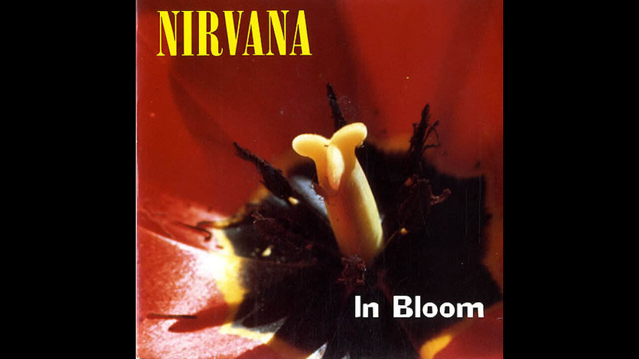 In Bloom - Nirvana