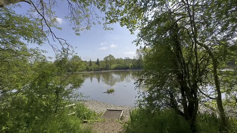 Woods next to Osborne’s pond