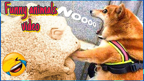 Funny animal 😮😂!how to train your dog click the link on description ⬇️