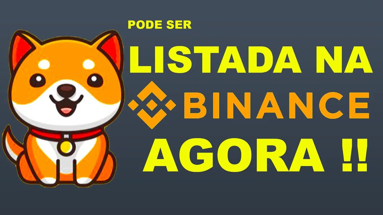 BABY DOGECOIN listada na BINANCE agora !?