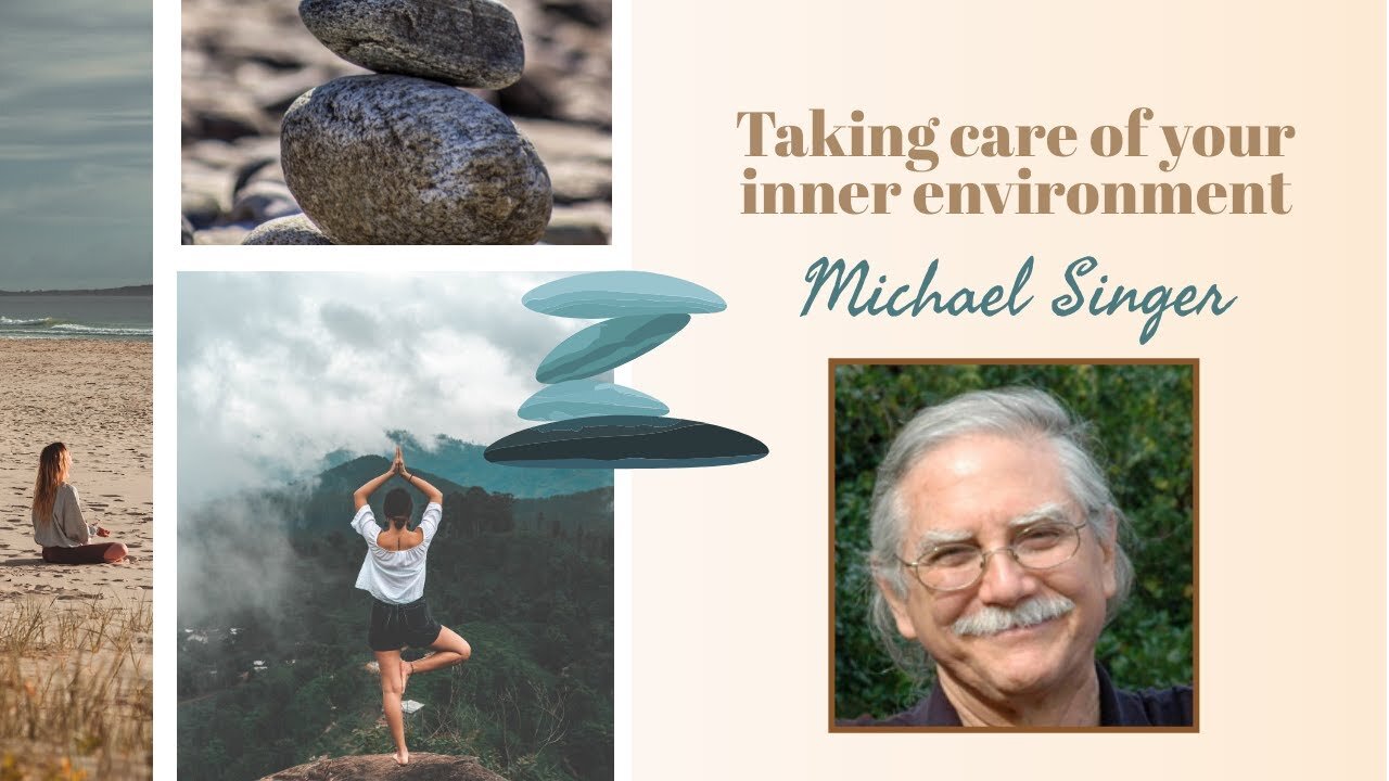 TAKING CARE OF YOUR INNER ENVIRONMENT | Michael Singer