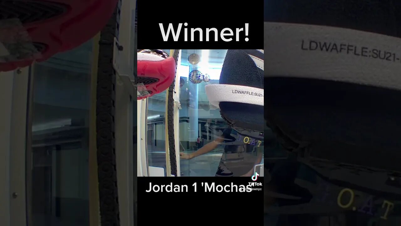 He Won Mocha's!