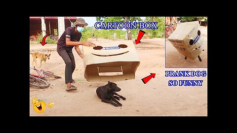 SLEEPING DOG PRANK/ CARTOON PRANK 2023