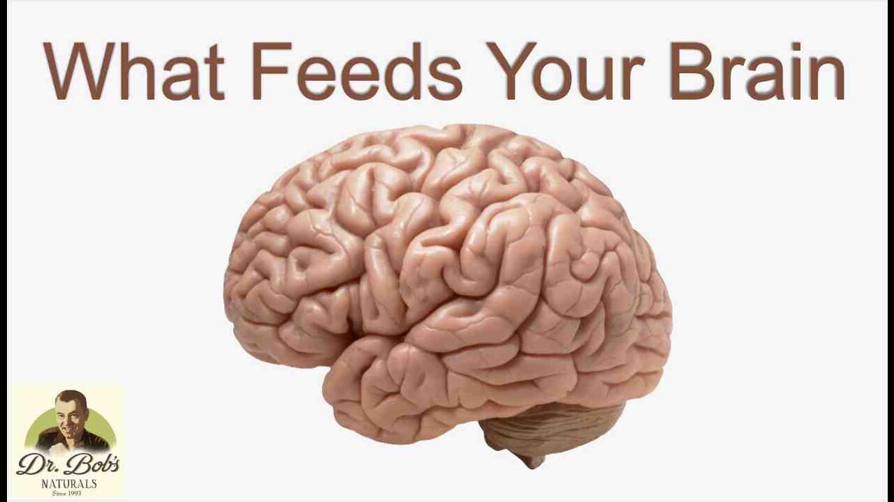 Fuel Your Brain Naturally