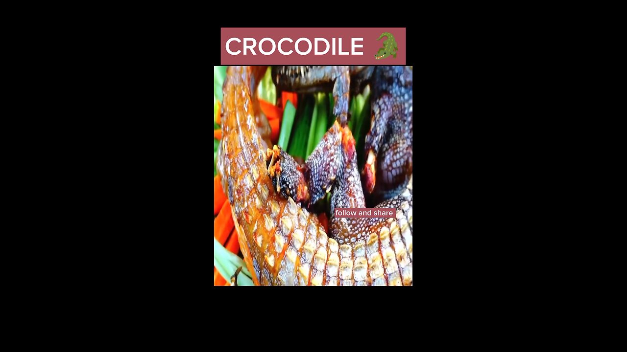 Crocodile Chronicles: Culinary Adventures of the Fearless Gourmet