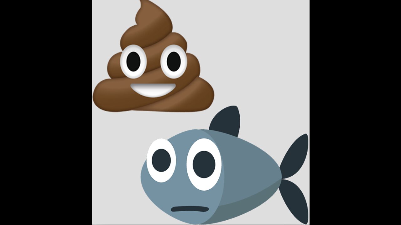 Shitfish😂