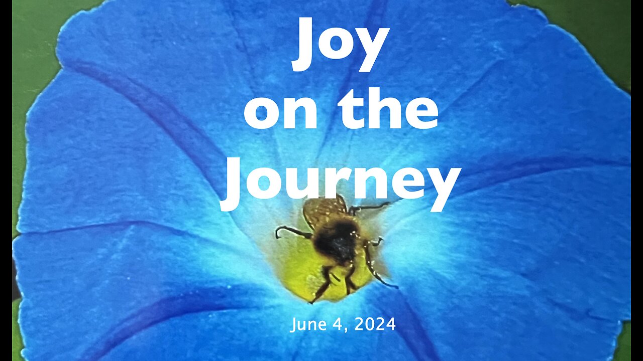 God Will Take Care of You - Joy on the Journey (June 4)
