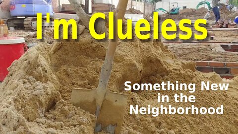 I'm Clueless --- Something New in the Neighborhood (News)
