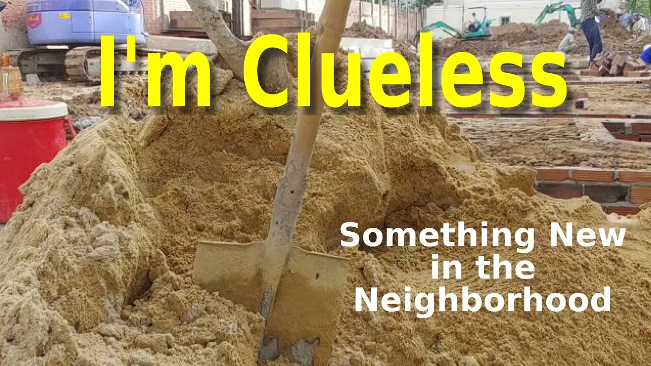 I'm Clueless --- Something New in the Neighborhood (News)