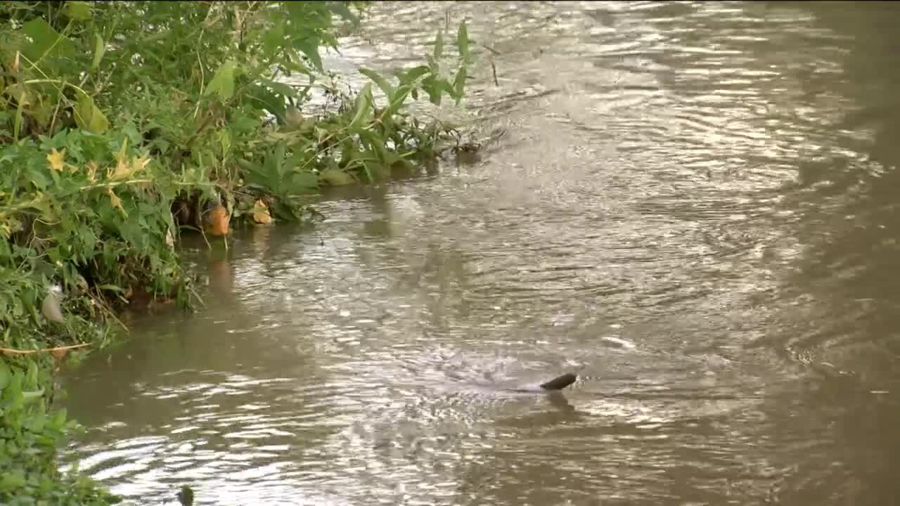 Racine residents work to clean up flooding after record-breaking rainfall