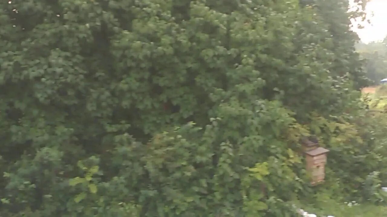 WP 20190813 08 35 01 Pro