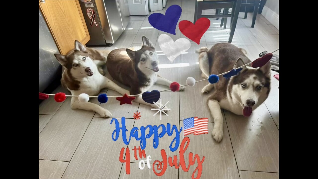 𝐂𝐞𝐥𝐞𝐛𝐫𝐚𝐭𝐢𝐧𝐠 𝐭𝐡𝐞 4𝐭𝐡 𝐨𝐟 𝐉𝐮𝐥𝐲 𝐰𝐢𝐭𝐡 𝐇𝐮𝐬𝐤𝐲 𝐅𝐮𝐧!🇺🇸
